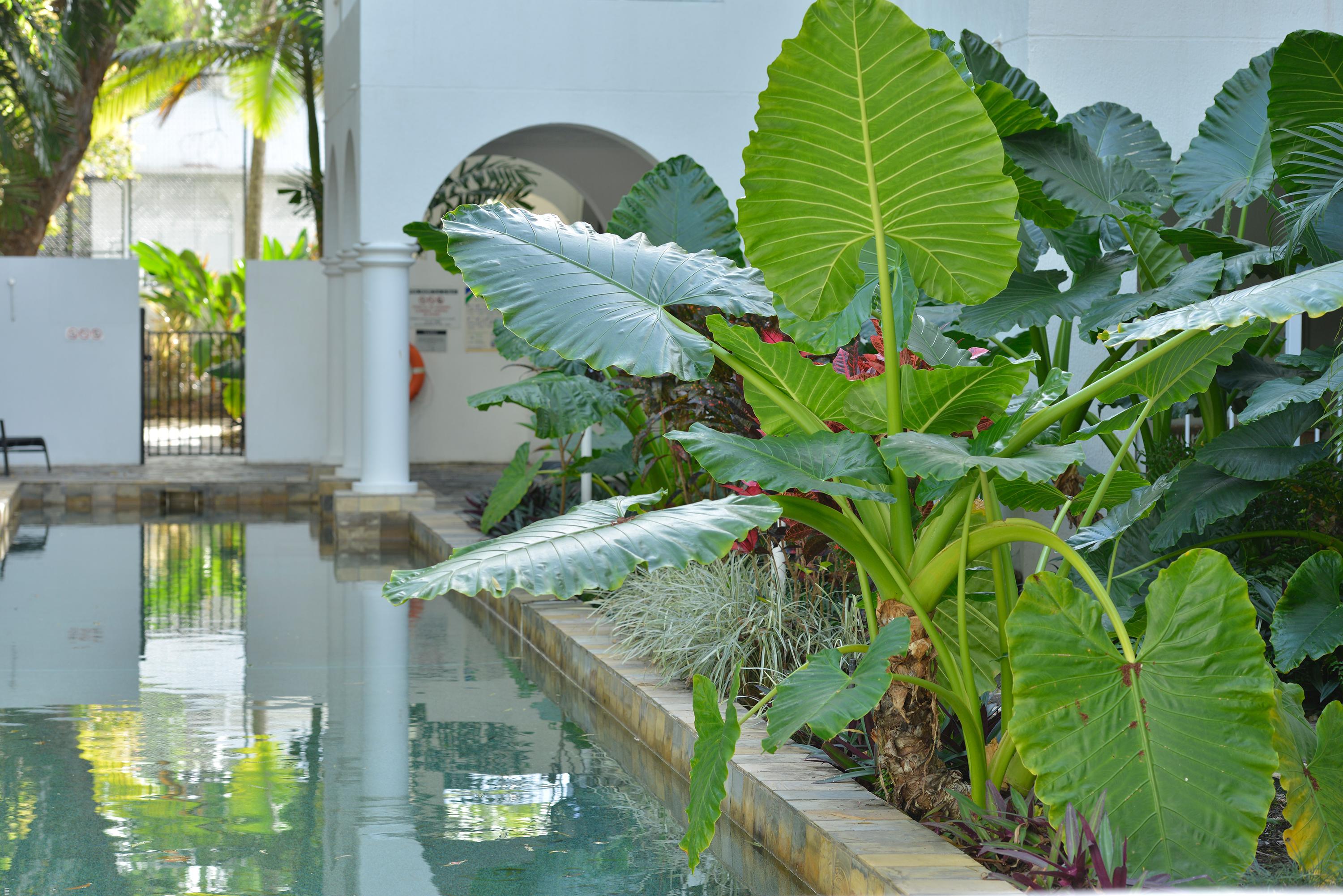 Hotel Mantra Portsea à Port Douglas Extérieur photo